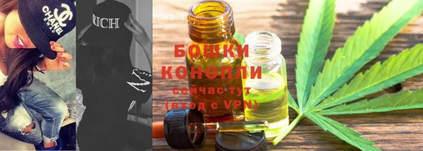 мдпв Семёнов