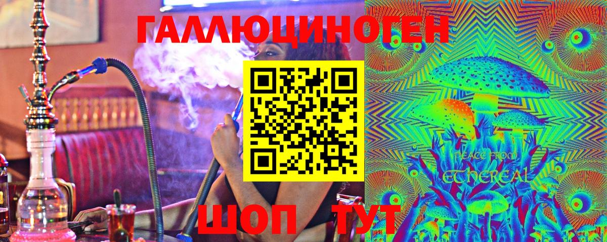 Псилоцибиновые грибы Psilocybine cubensis Елизово