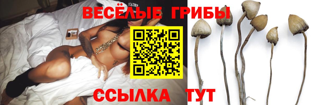 Елизово  Галлюциногенные грибы MAGIC MUSHROOMS  даркнет сайт  Вход с VPN 